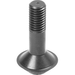 AMF 6370ZNS-20-001 Fangschraube