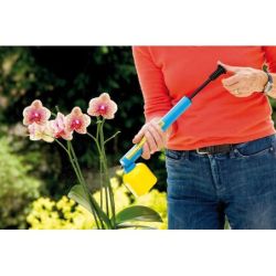 Gloria Feinzerstäuber   208/1 – Gloria