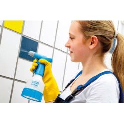 Gloria Handsprüher Clean Master Cm05 - 0,50 L – Gloria