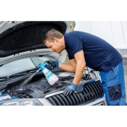 Gloria Drucksprüher Clean Master Extreme EX100 | 1,0 l – Gloria