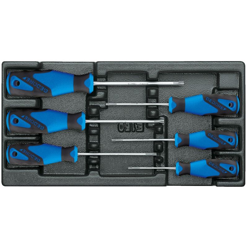 Gedore Werkzeugmodul mit Sortiment