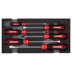 Gedore Schraubendr.Satz PH+SL 1/3 CT-Modul 6tlg