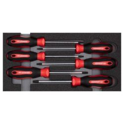 Gedore Schraubendr.Satz TX 1/3 CT-Modul 6tlg